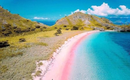 Surga Tersembunyi Pantai Pink di Lombok: Keajaiban Alam yang Unik dan Eksotis
