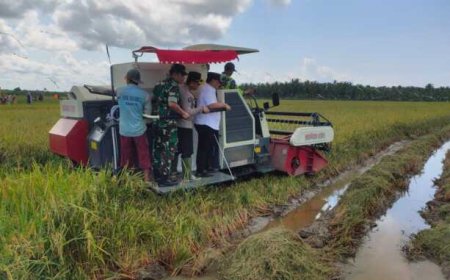 Tak Hanya Perkebunan, Sektor Pertanian Penyerap Tenaga Kerja Terbesar di Kotim