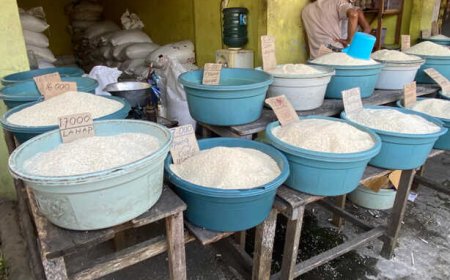 Harga Beras Jawa Naik Drastis, Beras Lokal Jadi Primadona di Sampit
