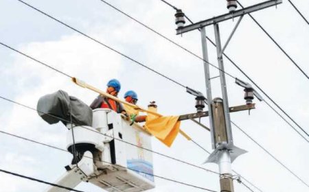 Yuk Kenali Kabel dan Tiang Milik PLN