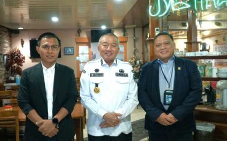 GM PLN dan Gubernur Kalsel Sinergikan Program Listrik