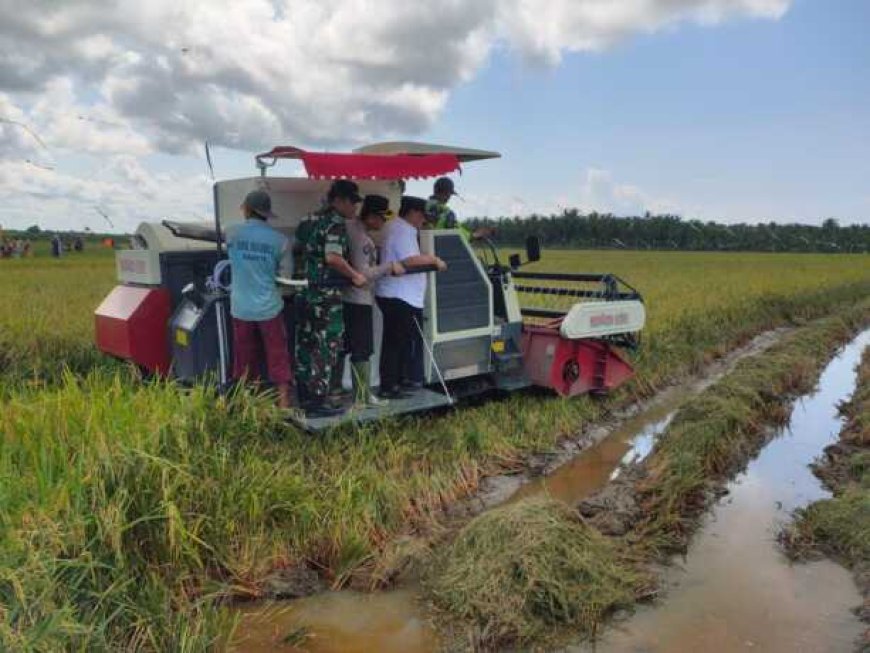 Tak Hanya Perkebunan, Sektor Pertanian Penyerap Tenaga Kerja Terbesar di Kotim