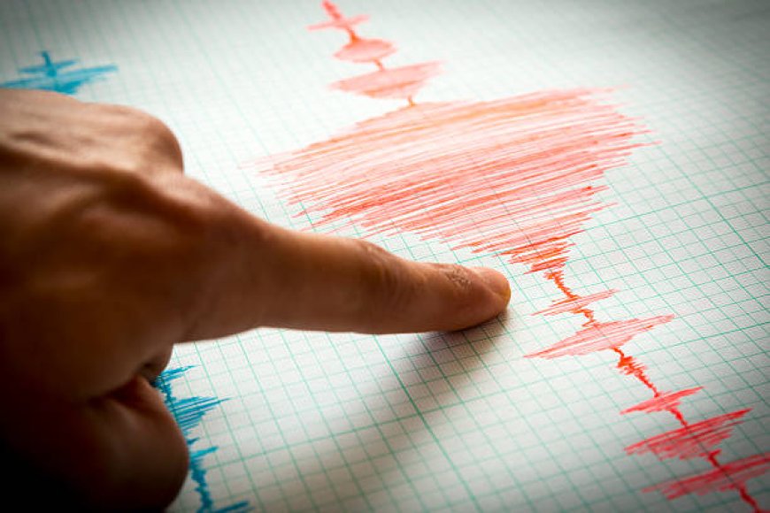 Tsunami Rusia Ancam Indonesia, BNPB Imbau Kosongkan Pantai